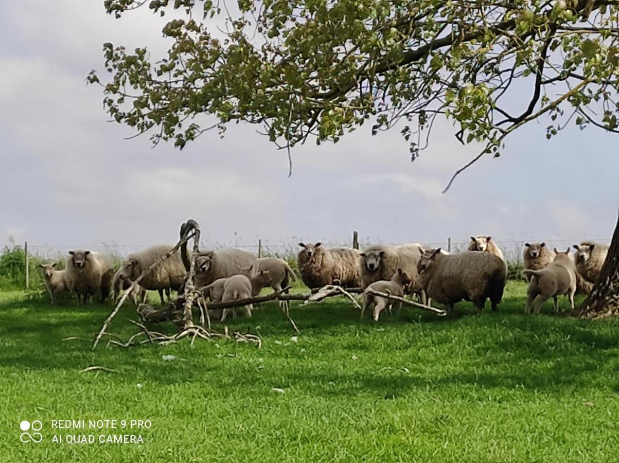 La Bergerie Villa La Bruyere Dış mekan fotoğraf